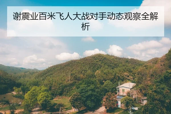 谢震业百米飞人大战对手动态观察全解析
