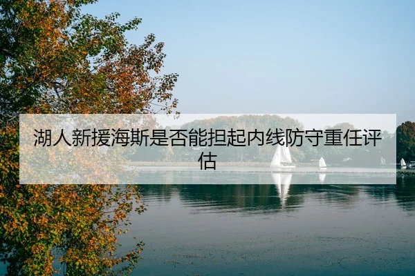 湖人新援海斯是否能担起内线防守重任评估